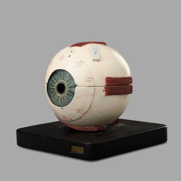 Исторические кадры, редкие архивные фотографии, исторические события, редкие фото звёзд