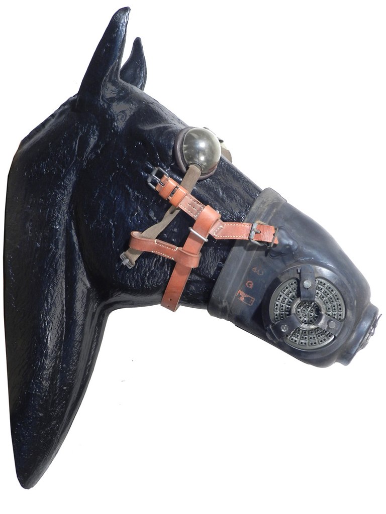 Исторические кадры, редкие архивные фотографии, исторические события, редкие фото звёзд