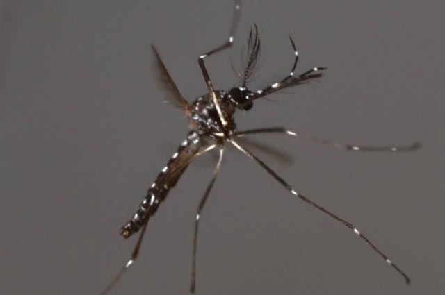 Разомни мозги: познавательные факты обо всём на свете факты, познавательные факты