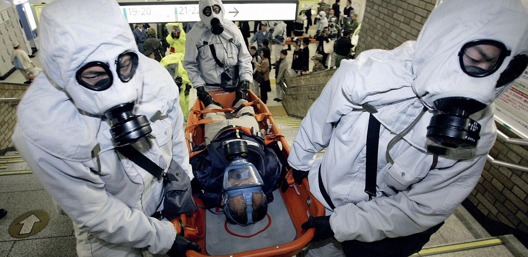 Разомни мозги: познавательные факты обо всём на свете факты, познавательные факты