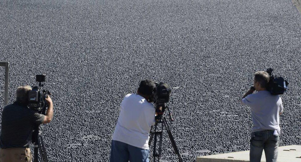 Почему американцы высыпали 96 миллионов черных шаров в водохранилище 96 млн черных шаров, черные пластиковые шары в водохранилище, пластиковые шары от испарения воды