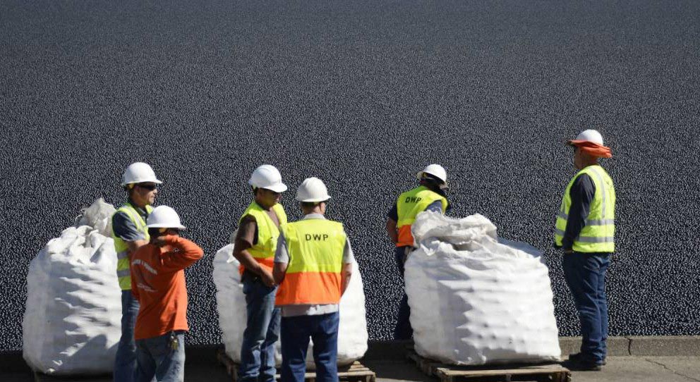 Почему американцы высыпали 96 миллионов черных шаров в водохранилище 96 млн черных шаров, черные пластиковые шары в водохранилище, пластиковые шары от испарения воды