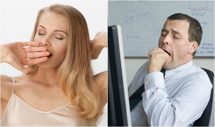 И все-таки мы вместе: 13 одинаковых вещей, которые мужчины и женщины делают по-разному различия мужчин и женщин