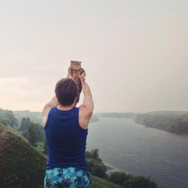 путешествие с котами, Adventure Cats, поход с котом