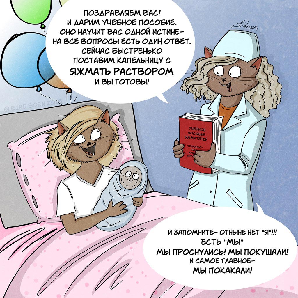 беспощадный социум,  вещи которые раздражают всех, Bird Born