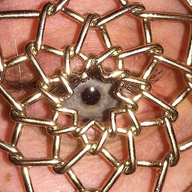 Eyexam, люди в глаза разные предметы