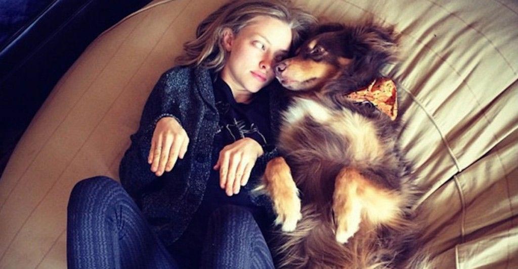 удручающие вещи 2015, разочаровывающие факты 2015