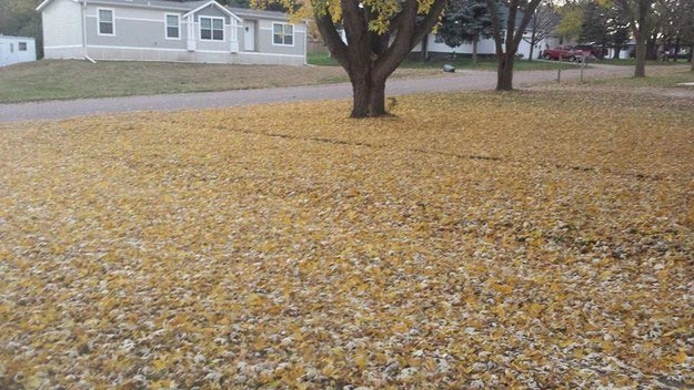 фотографии для перфекционистов, идеальные вещи, идеально подходящие вещи, совершенные вещи, 