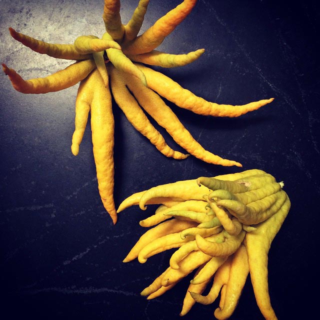 экзотические фрукты, редкие фрукты