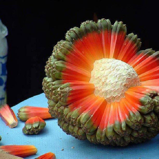 экзотические фрукты, редкие фрукты