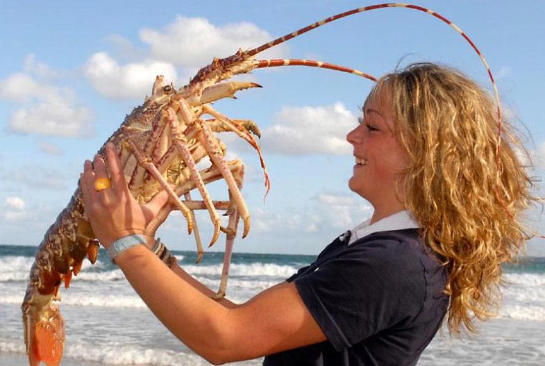 Альманах познавательных фактов обо всём на свете. Часть 32 познавательные факты, а вы знали что, спорим вы не знали
