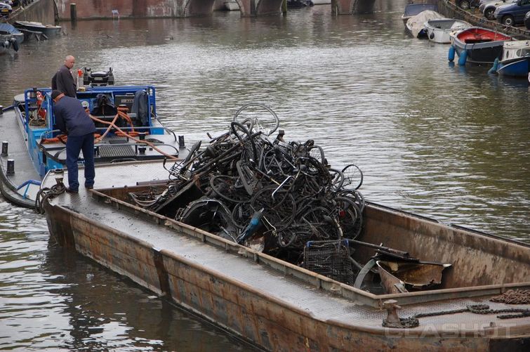 Альманах познавательных фактов обо всём на свете. Часть 32 познавательные факты, а вы знали что, спорим вы не знали