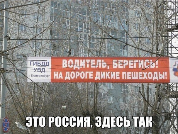 Это Россия детка, только в России, умом Россию не понять 