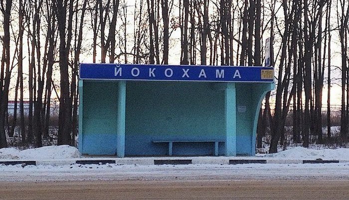Это Россия детка, только в России, умом Россию не понять 