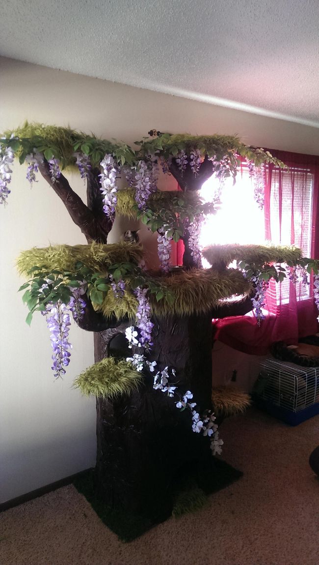 Как построить потрясающий игровой домик для кошки в виде дерева игровой домик для кошки, как построить игровой домик для кошки, игровой домик для кошки в виде дерева