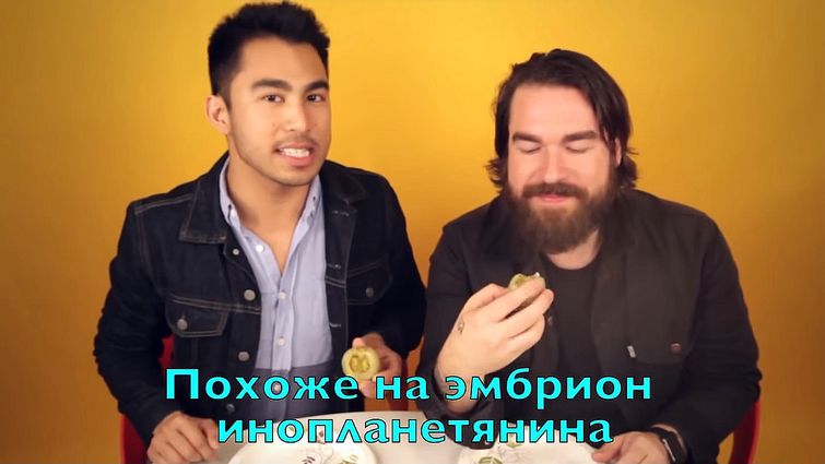 американцы пьют водку по русски, американцы пьют водку как русские, американцы пробуют русские закуски