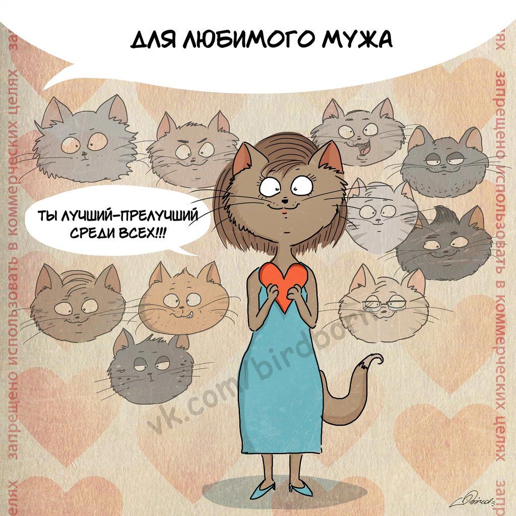 для кого придуман День святого Валентина, Bird Born