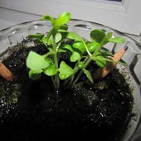 Два в одном, многофункциональные вещи, вещи для упрощения жизни