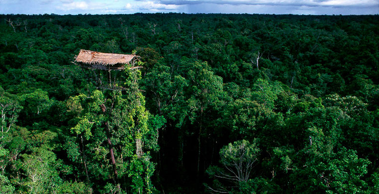 особенности папуасов, национальные особенности папуасов