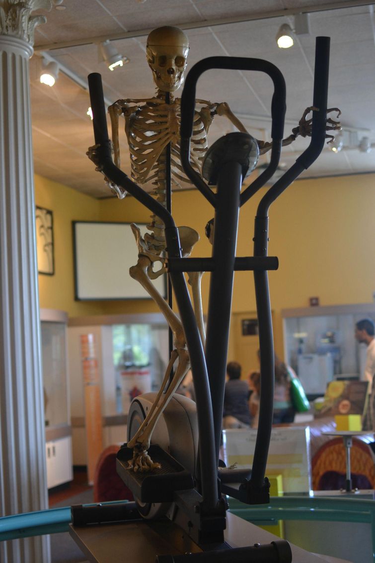 люди не принимающие отказов, люди которых не остановит в достижении цели, люди достижение цели