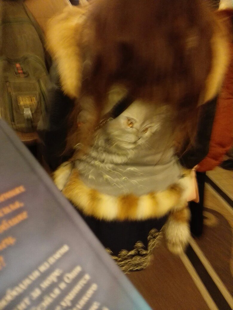 мода петербургского метро, мода метро, модники в транспорте, странные пассажиры метро 