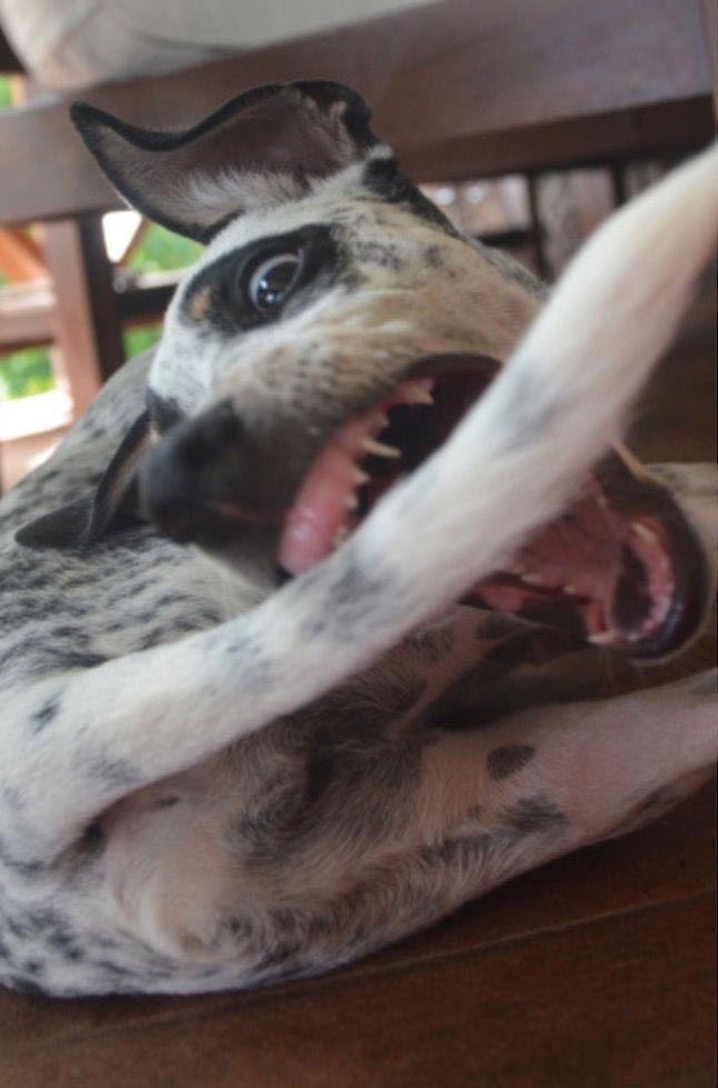 за секунду до, за секунду до фото, фото за секунду до катастрофы