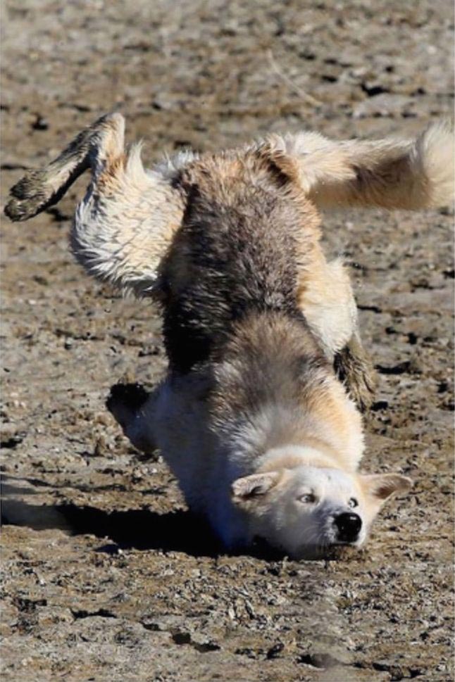 за секунду до, за секунду до фото, фото за секунду до катастрофы