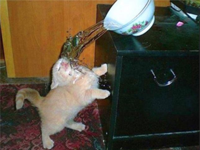 за секунду до, за секунду до фото, фото за секунду до катастрофы