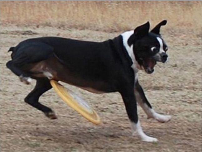 за секунду до, за секунду до фото, фото за секунду до катастрофы