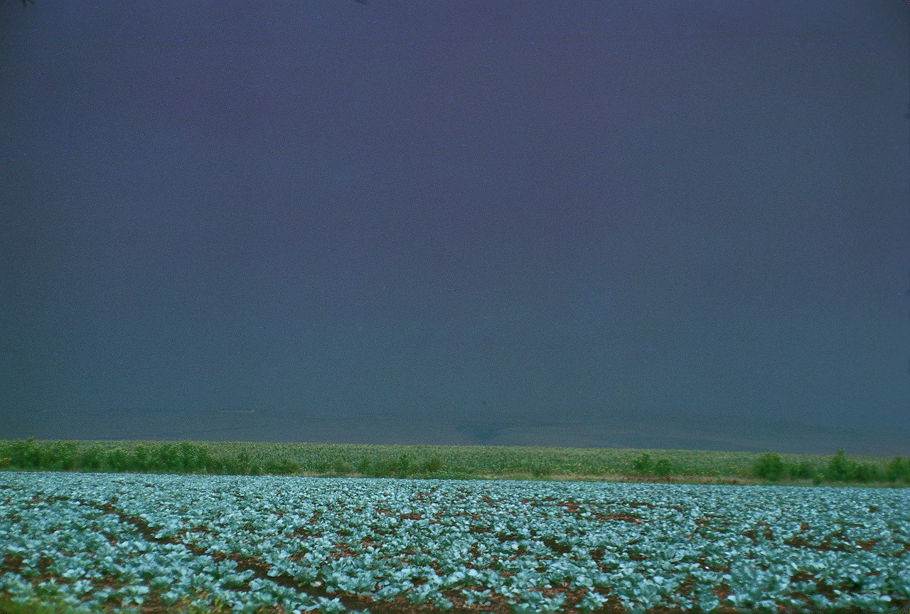 Исторические кадры, редкие архивные фотографии, исторические события, редкие фото звёзд