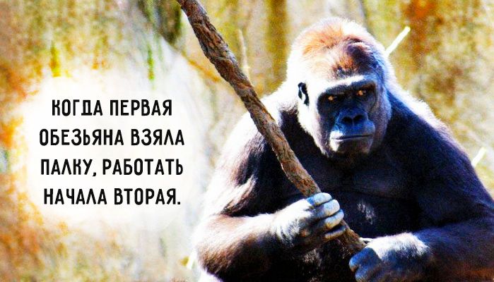 как повысить продуктивность, повышение работоспособности 