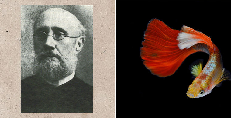 имена собственные которые стали нарицательными, люди подаривших свои имена этому миру