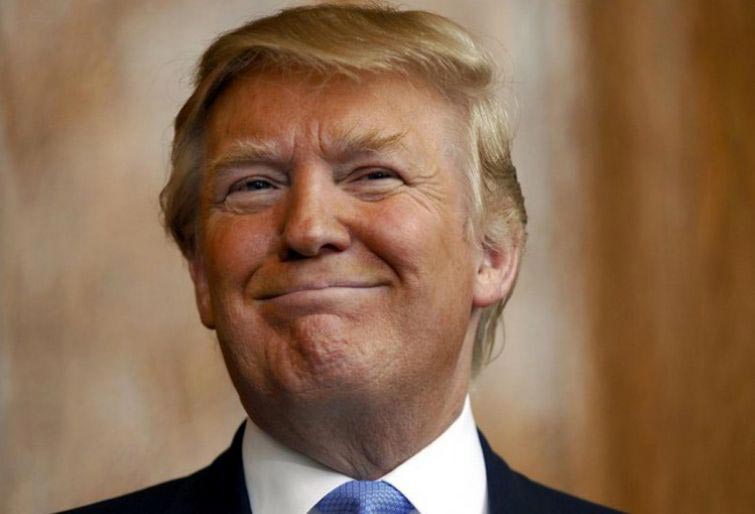 затрампь кота, коты в париках, коты с шевелюрами, коты с прической Дональда Трампа, коты Дональд Трамп