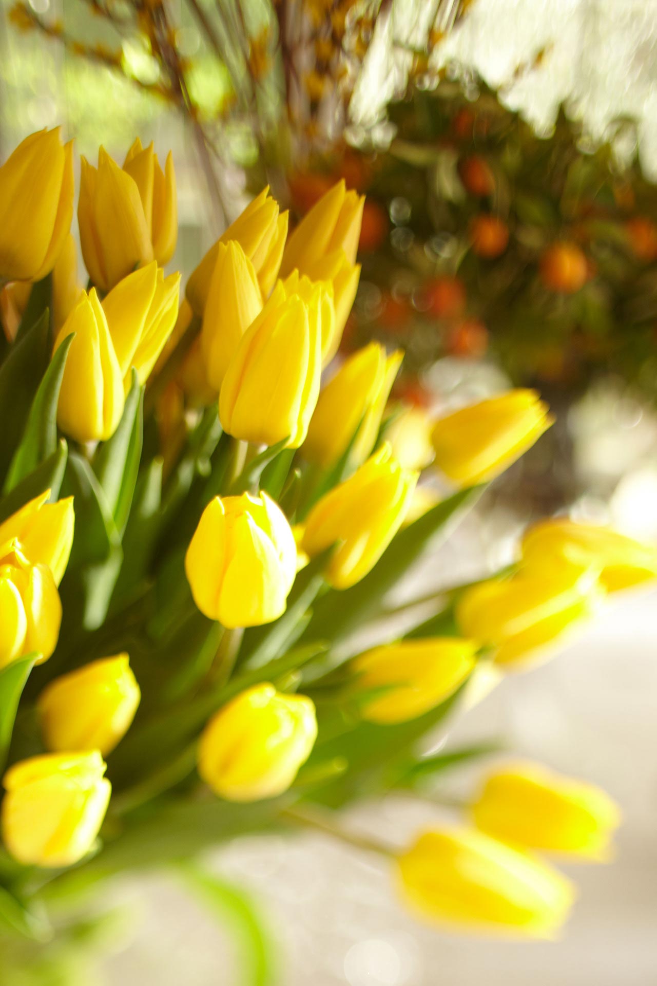 Застольный этикет: 20 дурных манер разных стран мира, которые стоит знать каждому застольный этикет разных стран, дурные манеры