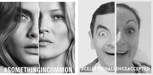 Селеста Барбер, Celeste Barber, девушка пародирует фотографии знаменитостей, девушка пародирует instagram знаменитостей