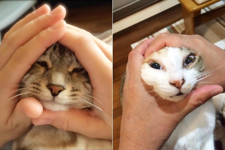 лицо мячиком, лица младенцев рисовые шарики, лица младенцев шарики из риса, RiceBallBabies