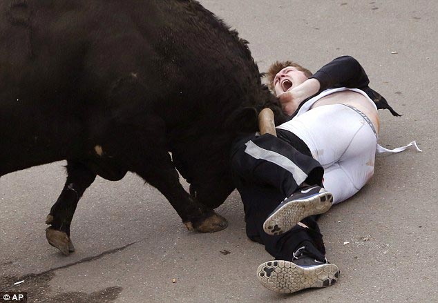 бычий рог в заднице,рог быка в заднице, травма во время бега быков, на американца напал бык, бычий рог в заднице американца