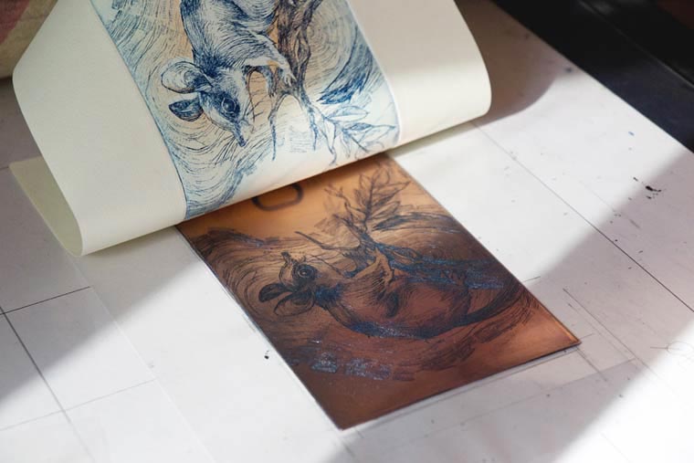 редизайн евро, Барбара Бернад, Barbara Bernát, живоьтыне и растения на евро, евро под ультрафиолетом,красивый редизайн евро