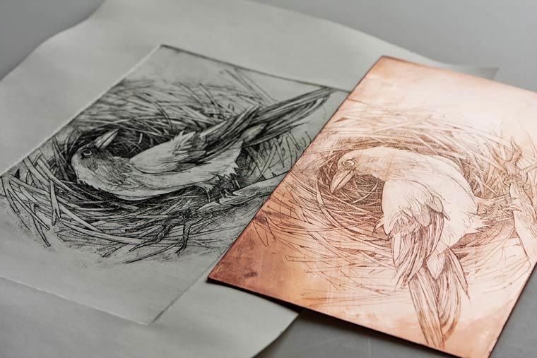 редизайн евро, Барбара Бернад, Barbara Bernát, живоьтыне и растения на евро, евро под ультрафиолетом,красивый редизайн евро