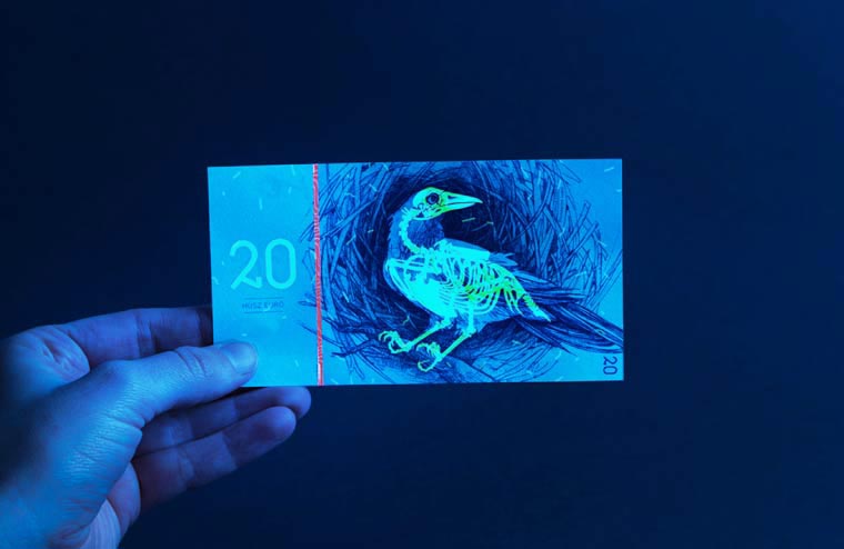 редизайн евро, Барбара Бернад, Barbara Bernát, живоьтыне и растения на евро, евро под ультрафиолетом,красивый редизайн евро