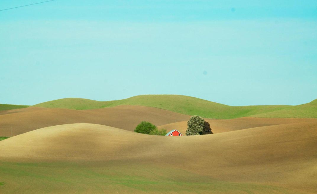 Smithsonian Photo Contest 2015, финалисты смитсоновсокго фотоконкурса