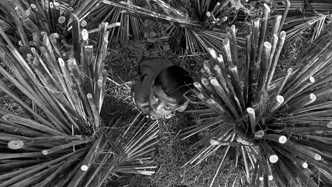 Smithsonian Photo Contest 2015, финалисты смитсоновсокго фотоконкурса