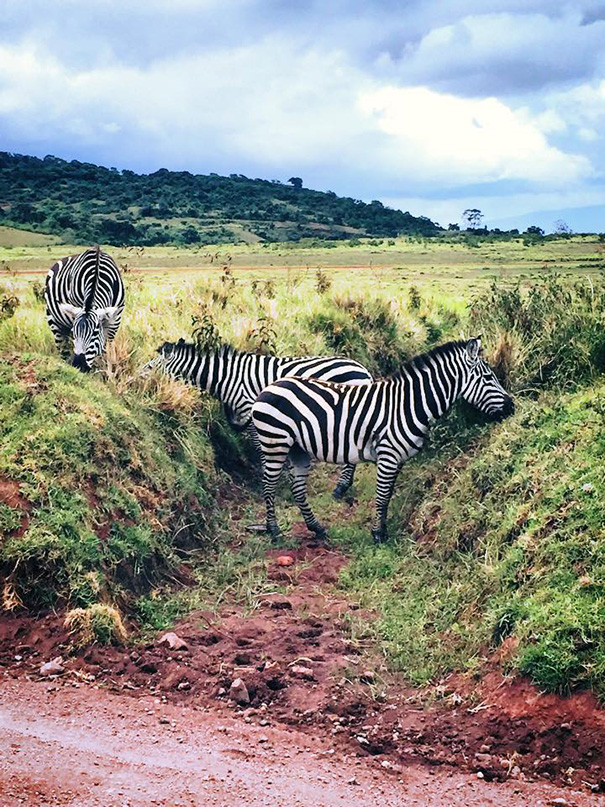 Kinessa Johnson, Кинесса Джонсон, охотник за браконьерами, VETPAW, 