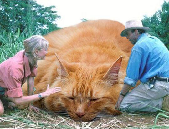 коты вместо динозавров, парк юрских котиков, кошки вместо динозавров