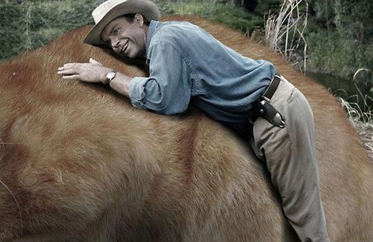 коты вместо динозавров, парк юрских котиков, кошки вместо динозавров