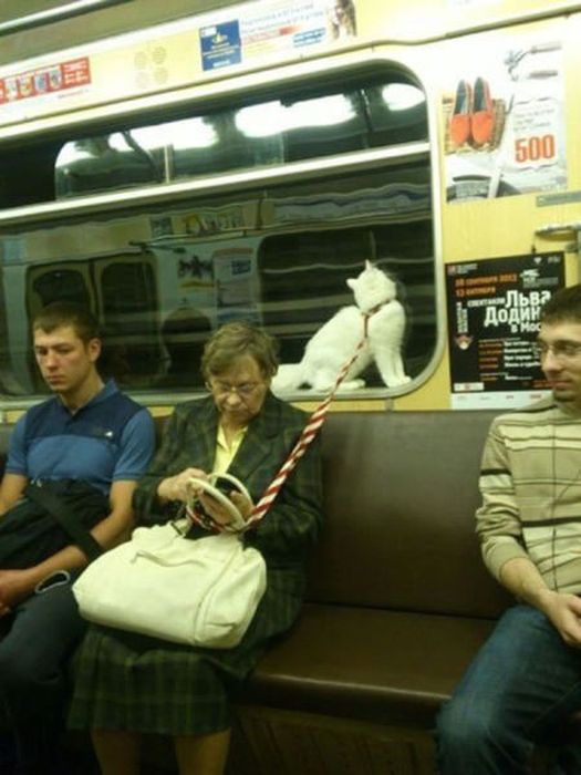 мода петербургского метро, мода метро, модники в транспорте, странные пассажиры метро 