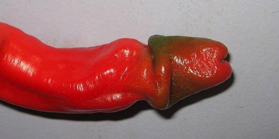 пошлые продукты, продукты похожие на, продукты похожие на половые органы