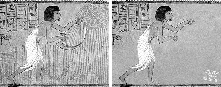 музей без глютена, Gluten-Free Museum, Артур Куле, Arthur Coulet