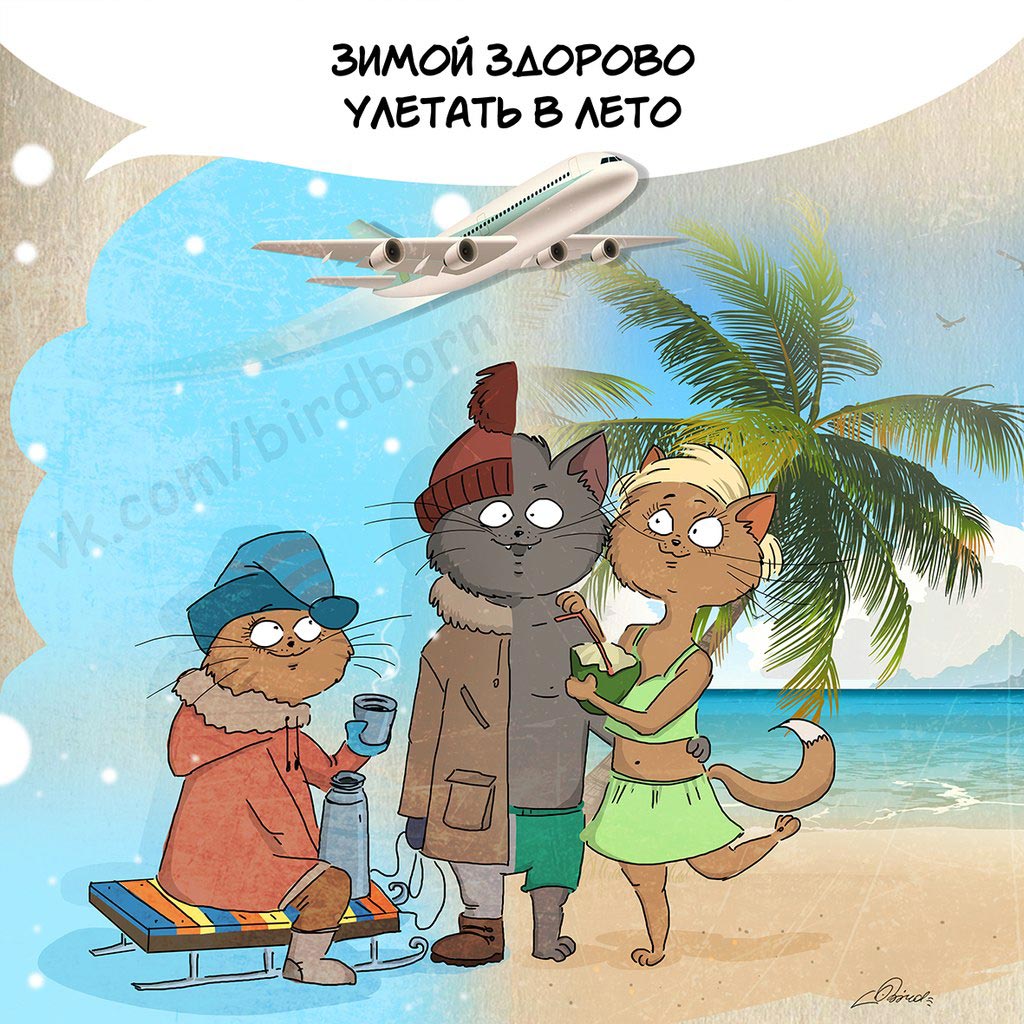 10 причин любить зиму, Bird Born