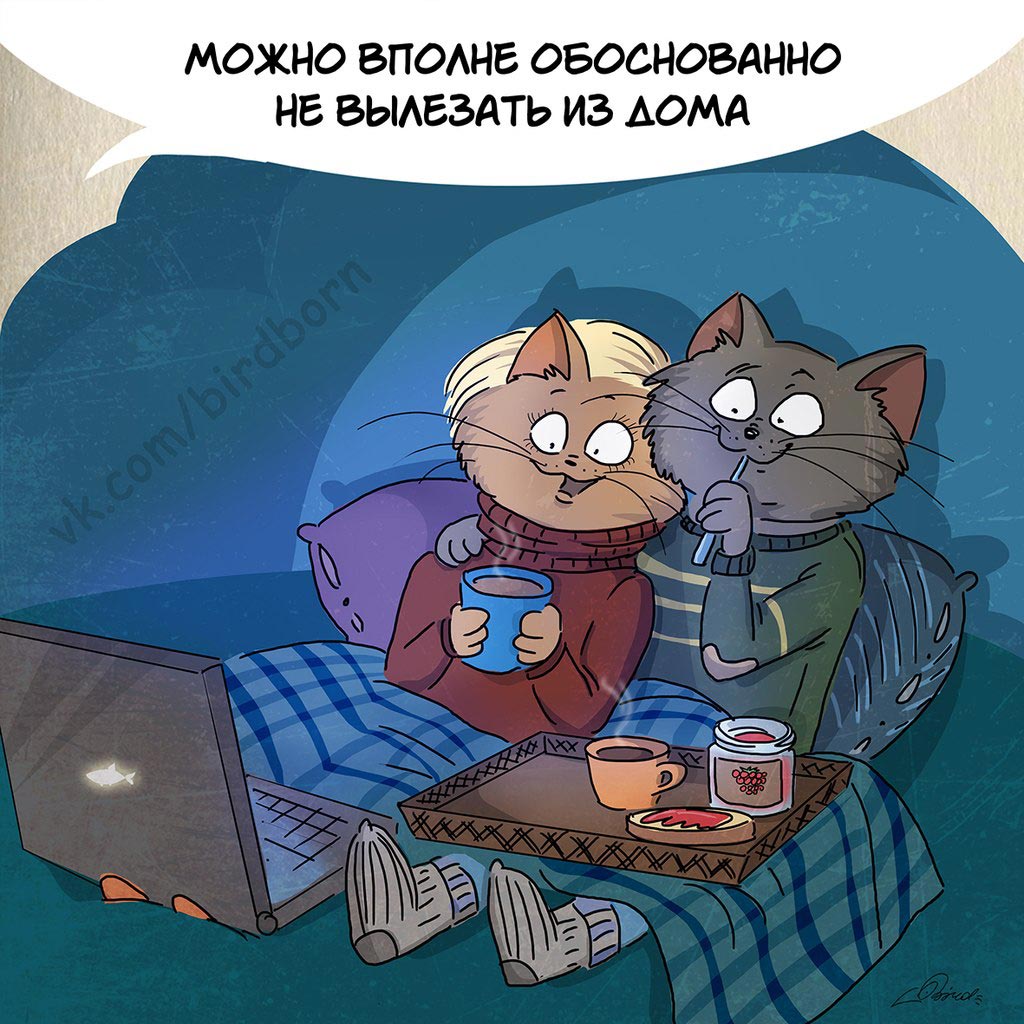 10 причин любить зиму, Bird Born